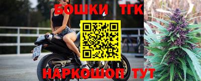 индика Аргун