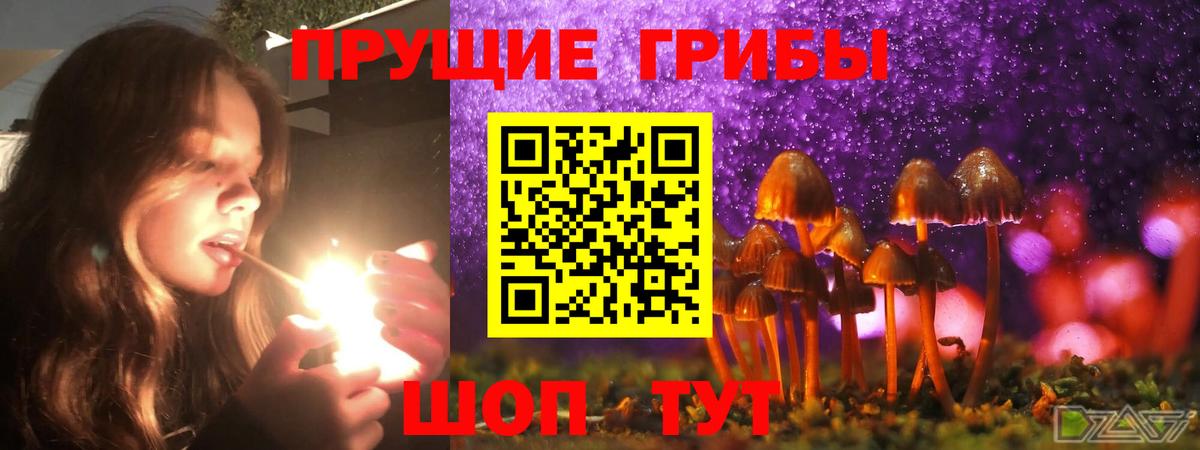 Белорецк  Псилоцибиновые грибы Psilocybe  Галлюциногенные грибы Cubensis  Вход с VPN 